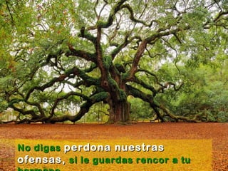 No digasNo digas perdona nuestrasperdona nuestras
ofensas,ofensas, si le guardas rencor a tusi le guardas rencor a tu
 
