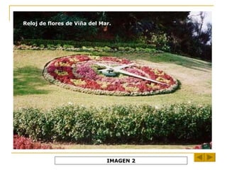 Reloj de flores de Viña del Mar. IMAGEN 2 