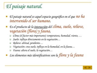 El paisaje natural. El paisaje natural es aquel espacio geográfico en el que   no ha intervenido el ser humano . Es el producto de la  interacción  del   clima, suelo, relieve, vegetación (flora) y fauna . Clima (el factor más importante): temperatura, humedad, viento, … Suelo: influye directamente en la vegetación… Relieve: altitud, pendiente…  Vegetación: crea suelo, influye en la humedad, en la fauna… Fauna: altera el suelo, la vegetación… Los elementos más identificativos son la   flora y la fauna 