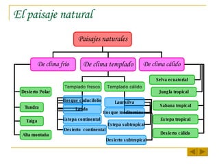 El paisaje natural Paisajes naturales De clima frío De clima templado De clima cálido Desierto Polar Tundra Taiga Alta montaña Templado cálido Templado fresco Landa   Estepa continental   Desierto  continental Bosque caducifolio Laurisilva Bosque mediterráneo Estepa subtropical Desierto subtropical Estepa tropical Desierto cálido Sabana tropical Jungla tropical Selva ecuatorial 