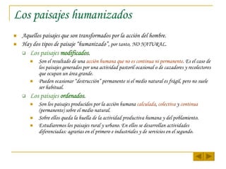 Los paisajes humanizados Aquellos paisajes que son transformados por la acción del hombre. Hay dos tipos de paisaje “humanizado”,  por tanto,   NO NATURAL . Los paisajes  modificados . Son el resultado de una  acción humana que no es continua ni permanente . Es el caso de los paisajes generados por una actividad pastoril ocasional o de cazadores y recolectores que ocupan un área grande. Pueden ocasionar “destrucción” permanente si el medio natural es frágil, pero no suele ser habitual. Los paisajes  ordenados . Son los paisajes producidos por la acción humana  calculada ,  colectiva  y  continua  (permanente) sobre el medio natural. Sobre ellos queda la huella de la actividad productiva humana y del poblamiento.  Estudiaremos los paisajes rural y urbano. En ellos se desarrollan actividades diferenciadas: agrarias en el primero e industriales y de servicios en el segundo. 