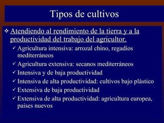 Tipos de cultivos Atendiendo al rendimiento de la tierra y a la productividad del trabajo del agricultor. Agricultura intensiva: arrozal chino, regadíos mediterráneos Agricultura extensiva: secanos mediterráneos Intensiva y de baja productividad Intensiva de alta productividad: cultivos bajo plástico Extensiva de baja productividad  Extensiva de alta productividad: agricultura europea, países nuevos 