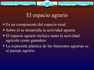 El espacio agrario Es un componente del espacio rural Sobre él se desarrolla la actividad agraria El espacio agrario incluye tanto la actividad agrícola como ganadera La expresión plástica de las funciones agrarias es el paisaje agrario. 