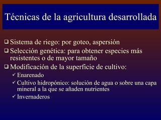 Técnicas de la agricultura desarrollada Sistema de riego: por goteo, aspersión Selección genética: para obtener especies más resistentes o de mayor tamaño Modificación de la superficie de cultivo: Enarenado Cultivo hidropónico: solución de agua o sobre una capa mineral a la que se añaden nutrientes Invernaderos 