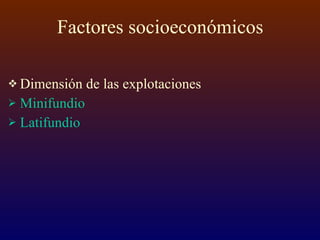 Factores socioeconómicos Dimensión de las explotaciones Minifundio Latifundio 