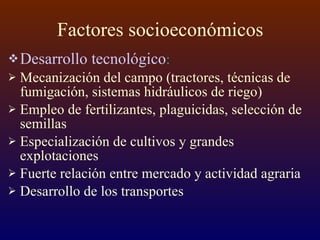 Factores socioeconómicos Desarrollo tecnológico : Mecanización del campo (tractores, técnicas de fumigación, sistemas hidráulicos de riego) Empleo de fertilizantes, plaguicidas, selección de semillas Especialización de cultivos y grandes explotaciones Fuerte relación entre mercado y actividad agraria Desarrollo de los transportes 