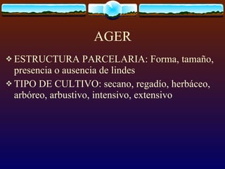 AGER ESTRUCTURA PARCELARIA: Forma, tamaño, presencia o ausencia de lindes TIPO DE CULTIVO: secano, regadío, herbáceo, arbóreo, arbustivo, intensivo, extensivo 