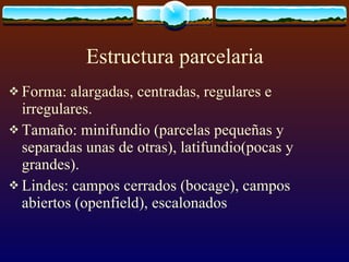 Estructura parcelaria Forma: alargadas, centradas, regulares e irregulares. Tamaño: minifundio (parcelas pequeñas y separadas unas de otras), latifundio(pocas y grandes). Lindes: campos cerrados (bocage), campos abiertos (openfield), escalonados 