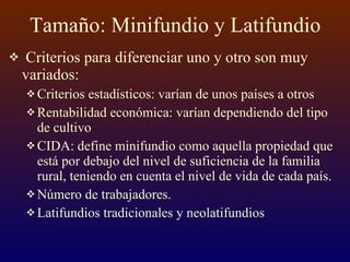 Tamaño: Minifundio y Latifundio Criterios para diferenciar uno y otro son muy variados: Criterios estadísticos: varían de unos países a otros Rentabilidad económica: varían dependiendo del tipo de cultivo CIDA: define minifundio como aquella propiedad que está por debajo del nivel de suficiencia de la familia rural, teniendo en cuenta el nivel de vida de cada país. Número de trabajadores. Latifundios tradicionales y neolatifundios 