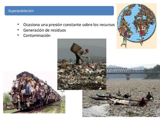 la destrucci n del paisaje