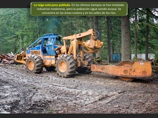 La taiga está poco poblada. En los últimos tiempos se han instalado
industrias madereras, pero la población sigue siendo escasa. Se
concentra en las áreas costera y en los valles de los ríos.
 