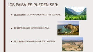 LOS PAISAJES PUEDEN SER:
■ DE MONTAÑA: EN ZONA DE MONTAÑAS, MÁS ELEVADAS.
■ DE COSTA: CUANDO ESTÁ CERCA DEL MAR.
■ DE LLANURA: EN ZONAS LLANAS. POR LA MESETA.
 