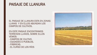 PAISAJE DE LLANURA
EL PAISAJE DE LLANURA ESTA EN ZONAS
LLANAS Y EN ELLOS ABUNDAN LOS
CAMPOS DE CULTIVOS.
EN ESTE PAISAJE ENCONTRAMOS
TERRENOS LLANOS, SOBRE ELLOS
VEMOS:
- CAMPOS DE CULTIVO.
- CIUDADES O PUEBLOS.
- FÁBRICAS.
- EL CURSO DE LOS RÍOS
 