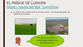 EL PAISAJE DE LLANURA
https://youtu.be/BpI_1wm20us
■ EL PAISAJE DE LLANURA ESTA EN ZONAS LLANAS Y EN ELLOS ABUNDAN LOS
CAMPOS DE CULTIVOS.
Muchos pueblos y
ciudades están en
las llanuras.
 