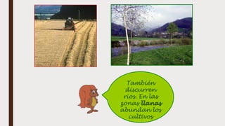 También
discurren
ríos. En las
zonas llanas
abundan los
cultivos
 
