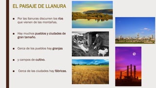 EL PAISAJE DE LLANURA
■ Por las llanuras discurren los ríos
que vienen de las montañas.
■ Hay muchos pueblos y ciudades de
gran tamaño.
■ Cerca de los pueblos hay granjas
■ y campos de cultivo.
■ Cerca de las ciudades hay fábricas.
 