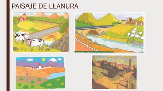 PAISAJE DE LLANURA
 