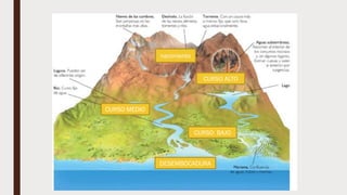 nacimiento
CURSO BAJO
CURSO MEDIO
CURSO ALTO
DESEMBOCADURA
 