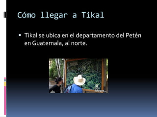 Cómo llegar a Tikal
 Tikal se ubica en el departamento del Petén
en Guatemala, al norte.
 