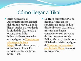 Cómo llegar a Tikal
 Ruta aérea: vía el
Aeropuerto Internacional
del Mundo Maya, a donde
llegan vuelos diarios desde
la ciudad de Guatemala y
otros países. Más
información sobre vuelos
en la página de Transportes
aéreos por la Ruta
Maya. Desde el aeropuerto,
ubicado en Flores, los
servicios de buses llevan
hasta Tikal.
 La Ruta terrestre: Puede
llegar a Flores en los
servicios de buses de lujo
disponibles en Guatemala,
mismos que hacen
conecciones con servicios
de bus provenientes de
Belice, México, Honduras y
El Salvador. Visite la página
deTransportes terrestres
por la Ruta Maya para más
información.
 
