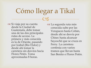 
Cómo llegar a Tikal
 Si viaja por su cuenta
desde la Ciudad de
Guatemala, debe tomar
una de las dos principales
rutas de acceso. La
primera y más conocida
es la de Oriente, pasando
por Izabal (Río Dulce) y
desde ahi tomar la
carretera sin desvíos hacia
Flores Petén. Toma
aproximadas 8 horas.
 La segunda ruta más
conocida sube por las
Verapaces hasta Cobán,
desde ahi se desvía por
Chisec hasta alcanzar
Sayaxché que se cruza en
Ferry. La carretera
continúa con varios
tramos que llevan hasta
San Benito o Flores Petén.
 