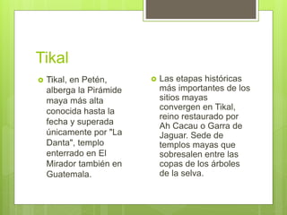 Tikal
 ﻿Tikal, en Petén,
alberga la Pirámide
maya más alta
conocida hasta la
fecha y superada
únicamente por "La
Danta", templo
enterrado en El
Mirador también en
Guatemala.
 Las etapas históricas
más importantes de los
sitios mayas
convergen en Tikal,
reino restaurado por
Ah Cacau o Garra de
Jaguar. Sede de
templos mayas que
sobresalen entre las
copas de los árboles
de la selva.
 