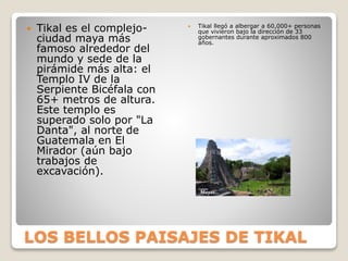 LOS BELLOS PAISAJES DE TIKAL
 Tikal es el complejo-
ciudad maya más
famoso alrededor del
mundo y sede de la
pirámide más alta: el
Templo IV de la
Serpiente Bicéfala con
65+ metros de altura.
Este templo es
superado solo por "La
Danta", al norte de
Guatemala en El
Mirador (aún bajo
trabajos de
excavación).
 Tikal llegó a albergar a 60,000+ personas
que vivieron bajo la dirección de 33
gobernantes durante aproximados 800
años.
 