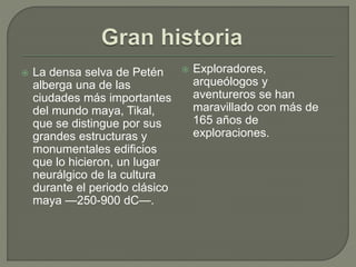  La densa selva de Petén
alberga una de las
ciudades más importantes
del mundo maya, Tikal,
que se distingue por sus
grandes estructuras y
monumentales edificios
que lo hicieron, un lugar
neurálgico de la cultura
durante el periodo clásico
maya —250-900 dC—.
 Exploradores,
arqueólogos y
aventureros se han
maravillado con más de
165 años de
exploraciones.
 