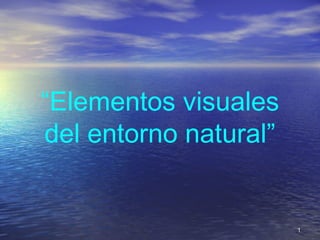 “Elementos visuales
del entorno natural”
11
 