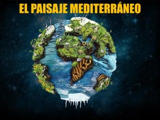 EL PAISAJE MEDITERRÁNEO
 