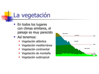La vegetación En todos los lugares con climas similares, el paisaje es muy parecido Así tenemos: Vegetación atlántica Vegetación mediterránea Vegetación continental Vegetación de montaña Vegetación subtropical 