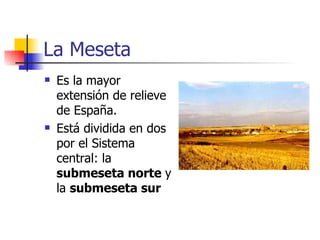 La Meseta Es la mayor extensión de relieve de España. Está dividida en dos por el Sistema central: la  submeseta norte  y la  submeseta sur 