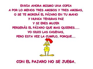 ENVIA AHORA MISMO UNA COPIAENVIA AHORA MISMO UNA COPIA
A POR LO MENOS TRES AMIGOS Y TRES AMIGAS,A POR LO MENOS TRES AMIGOS Y TRES AMIGAS,
O SE TE MORIRÁ EL PÁJARO EN TU MANOO SE TE MORIRÁ EL PÁJARO EN TU MANO
Y NUNCA TENDRAS PAZY NUNCA TENDRAS PAZ
Y SI ERES MUJERY SI ERES MUJER
PERDERÁS EL PÁJARO QUE MAS QUIERES....PERDERÁS EL PÁJARO QUE MAS QUIERES....
YO ODIO LAS CADENAS,YO ODIO LAS CADENAS,
PERO ESTA VEZ LA CUMPLO, PORQUE...PERO ESTA VEZ LA CUMPLO, PORQUE...
CON EL PAJARO NO SE JUEGA.CON EL PAJARO NO SE JUEGA.
 