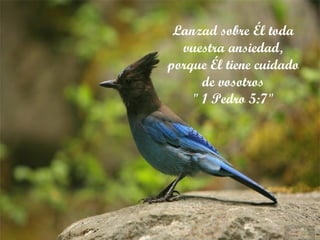 Lanzad sobre Él toda vuestra ansiedad, porque Él tiene cuidado de vosotros " 1 Pedro 5:7 " 