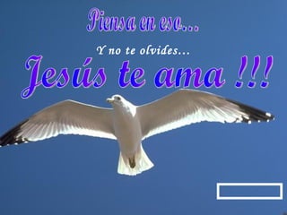 Y no te olvides… Piensa en eso… Jesús te ama !!! 