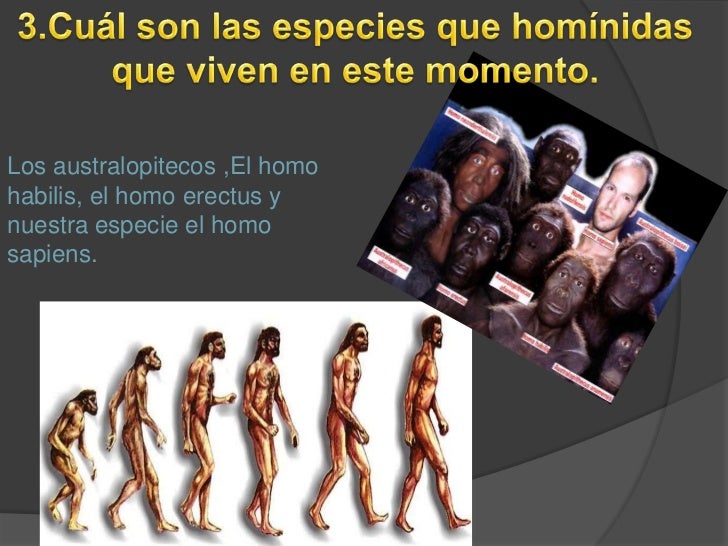 El paleolitico