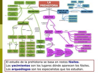 El estudio de la prehistoria se basa en restos  fósiles . Los  yacimientos  son los lugares dónde aparecen los fósiles. Los  arqueólogos  son los especialistas que los estudian. 