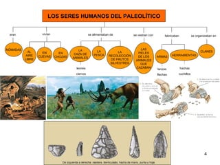 LOS SERES HUMANOS DEL PALEOLÍTICO eran NÓMADAS se alimentaban de LA CAZA DE ANIMALES LA RECOLECCIÓN DE FRUTOS SILVESTRES LA PESCA fabricaban HERRAMIENTAS vivían ARMAS lanzas flechas hachas cuchillos se vestían con LAS PIELES DE LOS ANIMALES QUE CAZABAN leones ciervos AL AIRE LIBRE EN CUEVAS EN CHOZAS se organizaban en CLANES 