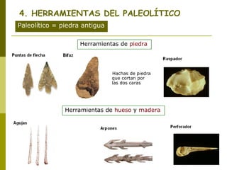 4. HERRAMIENTAS DEL PALEOLÍTICO
Paleolítico = piedra antigua

                    Herramientas de piedra




                               Hachas de piedra
                               que cortan por
                               las dos caras




               Herramientas de hueso y madera
 