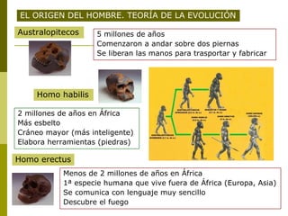 EL ORIGEN DEL HOMBRE. TEORÍA DE LA EVOLUCIÓN

Australopitecos     5 millones de años
                    Comenzaron a andar sobre dos piernas
                    Se liberan las manos para trasportar y fabricar




    Homo habilis

2 millones de años en África
Más esbelto
Cráneo mayor (más inteligente)
Elabora herramientas (piedras)

Homo erectus
           Menos de 2 millones de años en África
           1ª especie humana que vive fuera de África (Europa, Asia)
           Se comunica con lenguaje muy sencillo
           Descubre el fuego
 