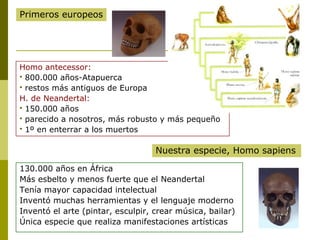 Primeros europeos




Homo antecessor:
 800.000 años-Atapuerca
 restos más antiguos de Europa

H. de Neandertal:
 150.000 años
 parecido a nosotros, más robusto y más pequeño
 1º en enterrar a los muertos


                                   Nuestra especie, Homo sapiens

130.000 años en África
Más esbelto y menos fuerte que el Neandertal
Tenía mayor capacidad intelectual
Inventó muchas herramientas y el lenguaje moderno
Inventó el arte (pintar, esculpir, crear música, bailar)
Única especie que realiza manifestaciones artísticas
 