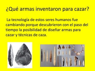 ¿Qué armas inventaron para cazar?
 La tecnología de estos seres humanos fue
cambiando porque descubrieron con el paso del
tiempo la posibilidad de diseñar armas para
cazar y técnicas de caza.
 