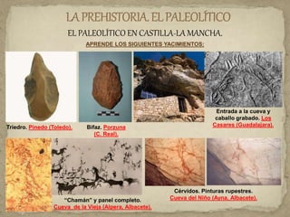 EL PALEOLÍTICO EN CASTILLA-LA MANCHA.
APRENDE LOS SIGUIENTES YACIMIENTOS:
Triedro. Pinedo (Toledo). Bifaz. Porzuna
(C. Real).
Entrada a la cueva y
caballo grabado. Los
Casares (Guadalajara).
“Chamán” y panel completo.
Cueva de la Vieja (Alpera, Albacete).
Cérvidos. Pinturas rupestres.
Cueva del Niño (Ayna, Albacete).
 