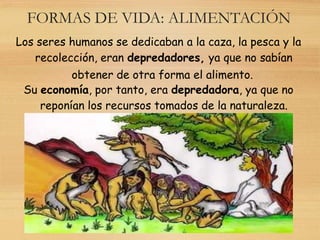 FORMAS DE VIDA: ALIMENTACIÓN
Los seres humanos se dedicaban a la caza, la pesca y la
recolección, eran depredadores, ya que no sabían
obtener de otra forma el alimento.
Su economía, por tanto, era depredadora, ya que no
reponían los recursos tomados de la naturaleza.
 