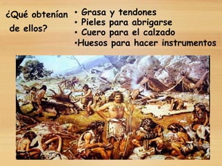 ¿Qué obtenían
de ellos?
• Grasa y tendones
• Pieles para abrigarse
• Cuero para el calzado
•Huesos para hacer instrumentos
 