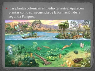  Las plantas colonizan el medio terrestre. Aparecen
plantas como consecuencia de la formación de la
segunda Panguea.
 