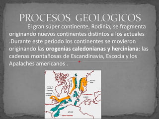 El gran súper continente, Rodinia, se fragmenta
originando nuevos continentes distintos a los actuales
.Durante este periodo los continentes se movieron
originando las orogenias caledonianas y herciniana: las
cadenas montañosas de Escandinavia, Escocia y los
Apalaches americanos .
 