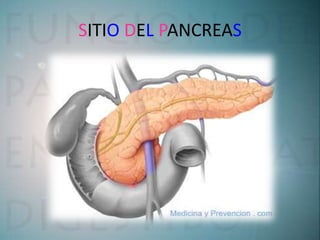 SITIO DEL PANCREAS
 
