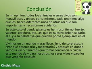Conclusión
En mi opinión, todos los animales o seres vivos son
maravillosos y únicos por si mismos, cada uno tiene algo
que los hacen diferentes unos de otros así que son
importantes y necesitamos cuidarlos.
En este caso el panda gigante es hermoso, tierno, fuerte,
valiente, cariñoso, etc., así que es nuestro deber cuidarlo,
al el y a su hábitat ya que quedan pocos ejemplares en el
mundo.
Vivimos en un mundo maravilloso, lleno de sorpresas, y
¿Por qué descuidarlo y maltratarlo? ¿después en donde
vamos a vivir? Tenemos que tomar conciencia y cuidar
este mundo de y para nosotros, los seres vivos y para los
que vendrán después.

 