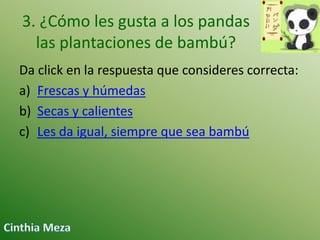 3. ¿Cómo les gusta a los pandas
las plantaciones de bambú?
Da click en la respuesta que consideres correcta:
a) Frescas y húmedas
b) Secas y calientes
c) Les da igual, siempre que sea bambú

 